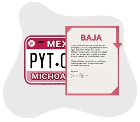 Proceso de baja de placas vehiculares